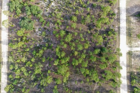 Land in Williston, Florida № 2208897 - photo 10