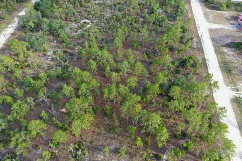 Land in Williston, Florida № 2208897 - photo 9