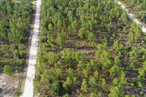 Land in Williston, Florida № 2208897 - photo 5