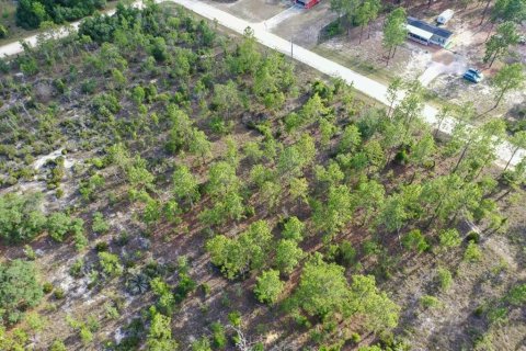Land in Williston, Florida № 2208897 - photo 8