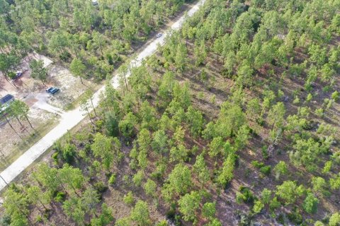 Land in Williston, Florida № 2208897 - photo 6