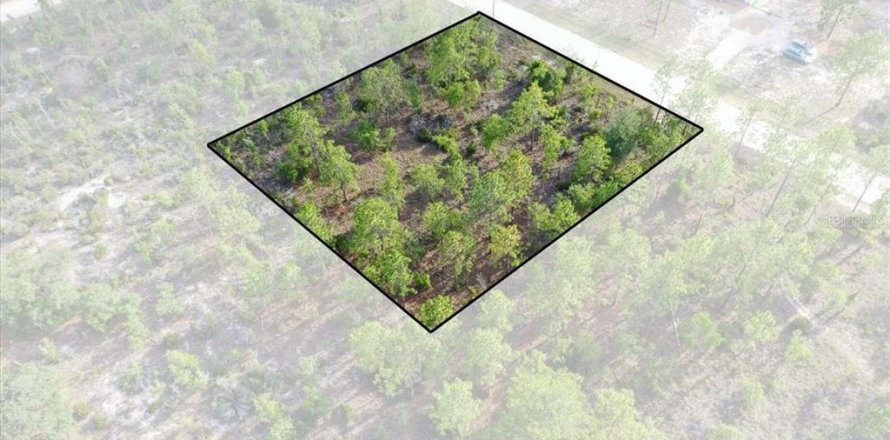 Land in Williston, Florida № 2208897