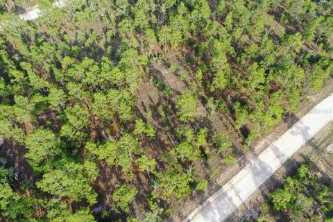 Land in Williston, Florida № 2208897 - photo 2
