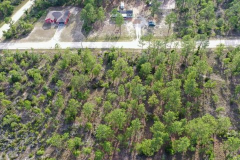 Land in Williston, Florida № 2208897 - photo 7