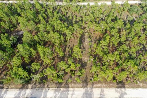 Land in Williston, Florida № 2208897 - photo 3