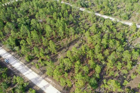 Land in Williston, Florida № 2208897 - photo 4