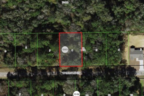 Land in Citrus Springs, Florida № 2353456