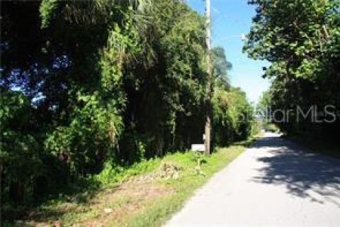 Terrain à vendre à Bradenton, Floride № 2196239 - photo 6