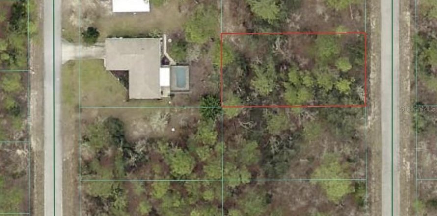 Terrain à Dunnellon, Floride № 2235556