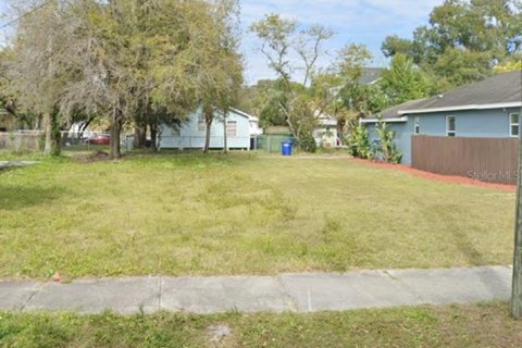 Land in Tampa, Florida № 2236503