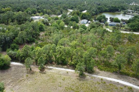 Terrain à vendre à Punta Gorda, Floride № 2205915 - photo 4