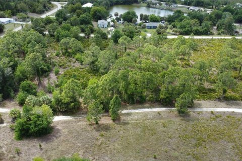 Terrain à vendre à Punta Gorda, Floride № 2205915 - photo 11