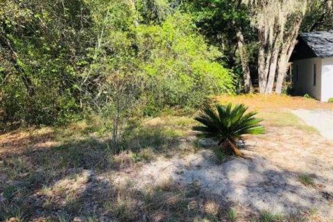 Land in Lady Lake, Florida № 2161132 - photo 3
