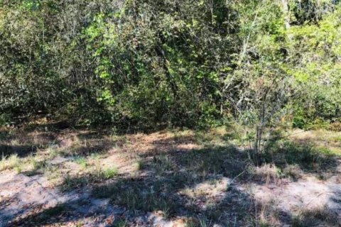 Land in Lady Lake, Florida № 2161132 - photo 2