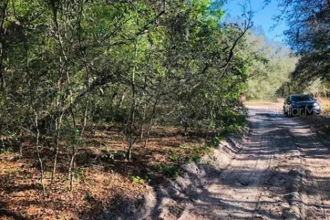 Land in Lady Lake, Florida № 2161132