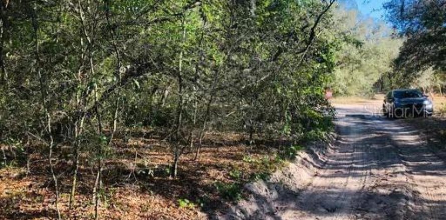 Land in Lady Lake, Florida № 2161132