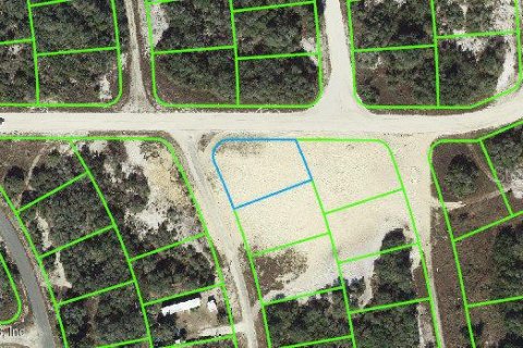 Land in Lake Placid, Florida № 2161267
