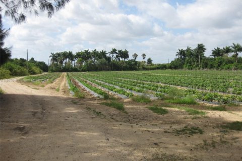 Commercial property in Homestead, Florida № 1961880 - photo 4