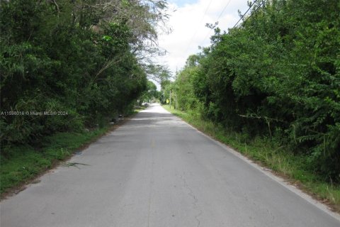 Commercial property in Homestead, Florida № 1961880 - photo 7