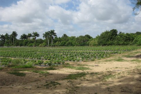 Commercial property in Homestead, Florida № 1961880 - photo 5