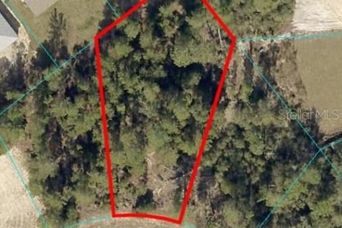 Land in Ocala, Florida № 1648629 - photo 1