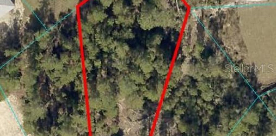 Land in Ocala, Florida № 1648629
