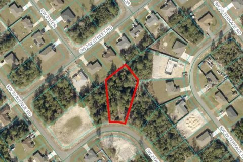 Land in Ocala, Florida № 1648629 - photo 2