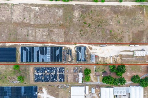 Land in Apopka, Florida № 1189999 - photo 4