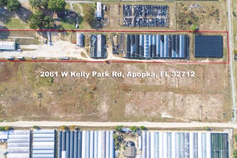 Land in Apopka, Florida № 1189999 - photo 6