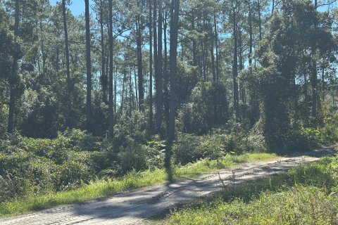 Land in DeLand, Florida № 2163677