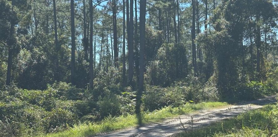 Land in DeLand, Florida № 2163677