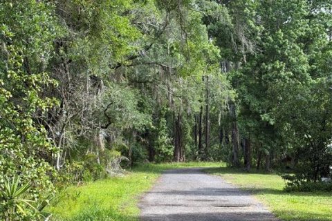 Land in Geneva, Florida № 2218092