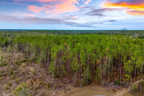 Land in Live Oak, Florida № 1520073 - photo 7