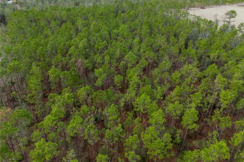 Land in Live Oak, Florida № 1520073 - photo 10