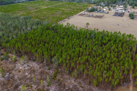 Land in Live Oak, Florida № 1520073 - photo 11