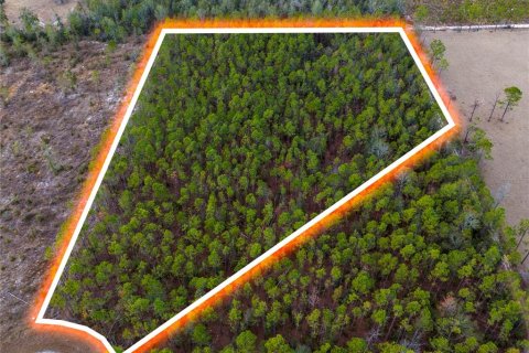 Land in Live Oak, Florida № 1520073 - photo 2