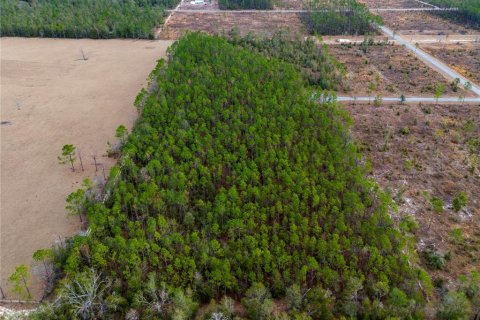 Land in Live Oak, Florida № 1520073 - photo 9