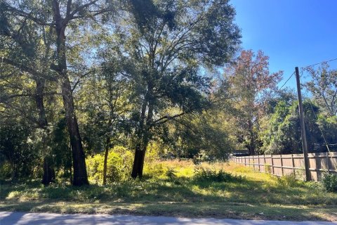 Land in Archer, Florida № 2161822 - photo 5
