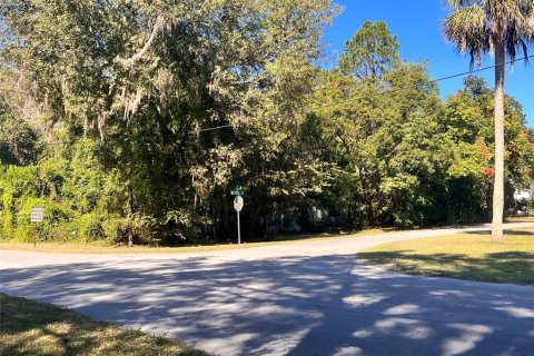Land in Archer, Florida № 2161822 - photo 7