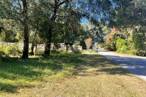 Land in Archer, Florida № 2161822 - photo 8