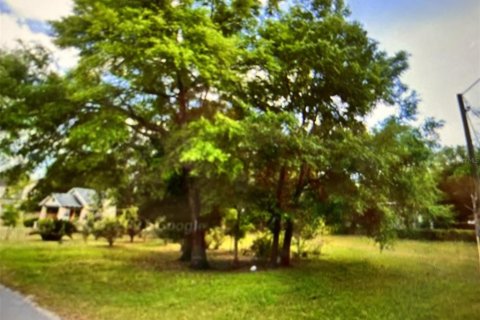 Land in Archer, Florida № 2161822