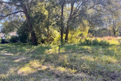 Land in Archer, Florida № 2161822 - photo 4