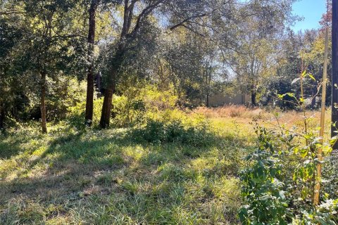 Land in Archer, Florida № 2161822 - photo 3