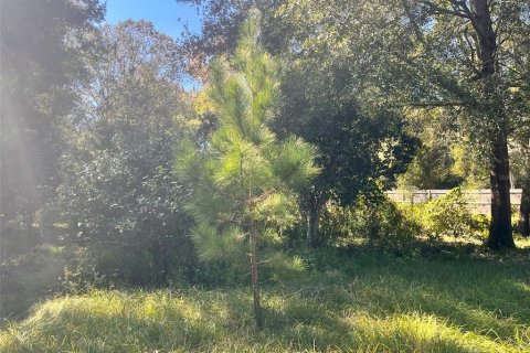 Land in Archer, Florida № 2161822 - photo 6