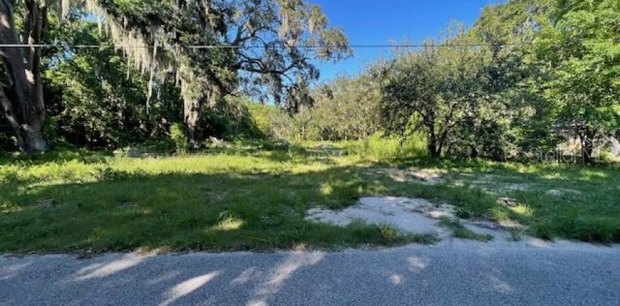 Land in Daytona Beach, Florida № 1846773