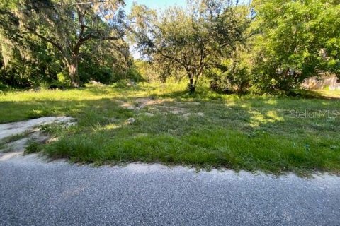 Land in Daytona Beach, Florida № 1846773 - photo 2
