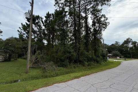 Terrain à Palm Coast, Floride № 2272985