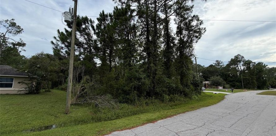 Terrain à Palm Coast, Floride № 2272985