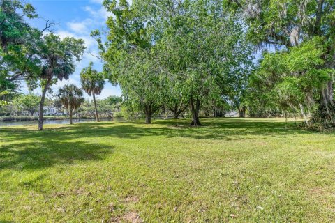 Land in Tampa, Florida № 2166477 - photo 4