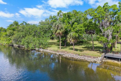Land in Tampa, Florida № 2166477 - photo 11